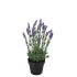 SILK LAVENDER PURPLE IN POT BLACK S 15X15X20CM NM