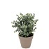 SILK EUCALYPTUS GREEN IN POT TERRA S 18X18X19CM NM
