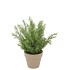 SILK CYPRESS GREEN IN POT TERRA S 18X18X21CM NM