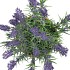 SILK LAVENDER PURPLE POT TERRA  M 21X21X32CM