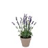 SILK LAVENDER PURPLE POT TERRA S 15X15X20CM