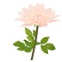 SILK AMAZING DAHLIA BEAUTY PEACH XXXL 65X145CM