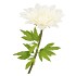 SILK AMAZING DAHLIA BEAUTY CREAM XXXL 65X145CM