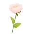 SILK AMAZING PEONY BEAUTY PEACH XXL 48X128CM