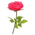 SILK AMAZING PEONY BEAUTY FUCHSIA XXXL 58X140CM