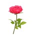 SILK AMAZING PEONY BEAUTY FUCHSIA XL 38X115CM