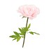 SILK AMAZING ROSE  BEAUTY LIGHT PINK XXL 50X120CM