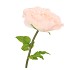 SILK AMAZING ROSE BEAUTY PEACH XXL 50X120CM