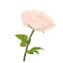 SILK AMAZING ROSE BEAUTY PEACH XL 40X110CM