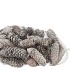 NATURE SPRUCE PINECONE WHITE P/1KG