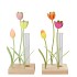 XELLY COLOURFULL METAL RACK TULIP VASE ASS 10X8X23