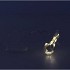 LED SHINE LIGHT CHAIN 30 LED INCL. CR2032 BATTERY 290+30CM