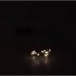 LED SHINE LIGHT CHAIN 20LED TIMER EXCL. BATTERY 95+10CM GOLD