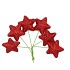 PICK SHINE STAR JOLLY RED 4X7CM P/96