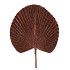 PICK SHINE FAN SCOTTISH COPPER 66CM NM