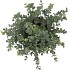 SILK EUCALYPTUS GREEN IN POT M 23X23X28CM NM