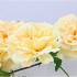 SILK WILD ROSE YELLOW SINGLE STEM 116CM NM