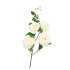 SILK WILD ROSE WHITE SINGLE STEM 116CM NM
