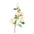 SILK WILD ROSE CREAM SINGLE STEM 116CM NM