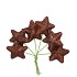 PICK SHINE STAR SCOTTISH COPPER 4X7CM P/96