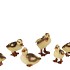 BABY DUCK ASS 10X6X10CM