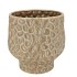 MAYSA GREEN POT 24X24X24CM