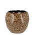DANA BROWN CAT EYE POT 12X12X10CM