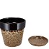 EBBI BROWN POT CAT-EYE 19X19X19CM