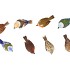 BIRDS WITH FEET ASS 12X5X9CM
