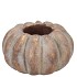 CONCRETE GOLDEN POT PUMPKIN 12X12X7CM