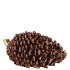 SIA BROWN PINECONE 14X9X8CM