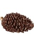 SIA BROWN PINECONE 19X11X9CM