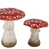 WONDERLAND RED MUSHROOM ASS 11X11X13CM