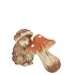 WONDERLAND BROWN HEDGEHOG MUSHROOM 14X8X10CM