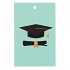 GIFT BOUQUET CARD GRADUATED MINT 6X9CM P/25