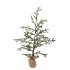 SILK PINE TREE LIGHT CHAIN JUTE 60X120CM