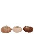 LAUREN BROWN PUMPKIN DECO ASS 13X8CM