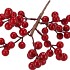 SILK CHRISTMAS BRANCH RED BERRY 50CM