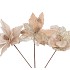 SILK POINSETTIA CHAMPAGNE ASS 27CM
