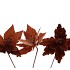 SILK POINSETTIA BROWN ASS 24CM