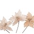 SILK POINSETTIA CHAMPAGNE ASS 24CM