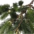 SILK PINE X-MAS BALL GOLD 102X55X18CM
