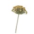 SILK OLD HERACLEUM KHAKI SINGLE STEM 56CM