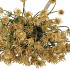 SILK OLD HERACLEUM KHAKI SINGLE STEM 56CM