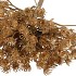 SILK OLD HERACLEUM GOLD SINGLE STEM 96CM