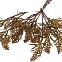 SILK OLD ARTIFICIAL GRASS BROWN 54CM