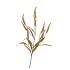 SILK OLD BRISTLEGRASS YELLOW SINGLE STEM 88CM