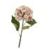 SILK OLD HYDRANGEA LIGHT BROWN SINGLE STEM 70CM