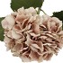 SILK OLD HYDRANGEA LIGHT BROWN SINGLE STEM 70CM