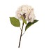 SILK OLD HYDRANGEA CREAM SINGLE STEM 70CM